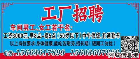 安阳最新工厂招工信息及其社会影响分析