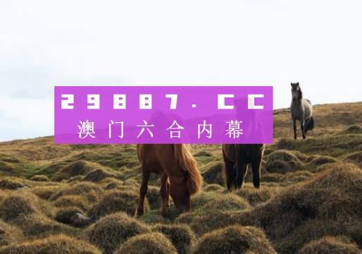 澳门今晚开奖什么，探索彩票背后的故事与期待