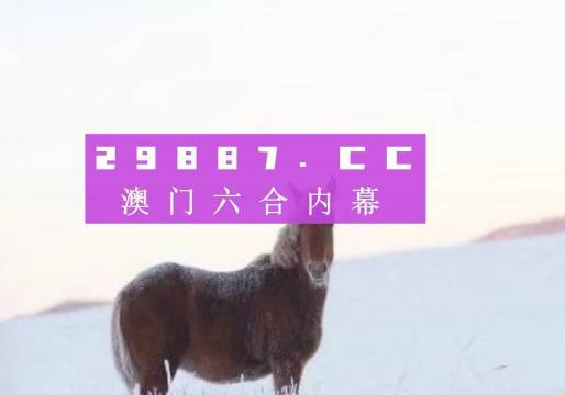 澳门一肖一码一必中一肖同舟前进——探寻博彩之都的神秘面纱