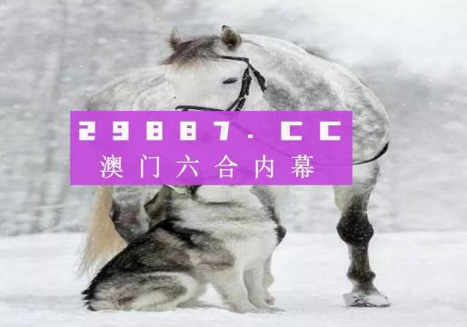 精准跑狗，探索数字世界中的秘密宝藏——77777与88888的魅力