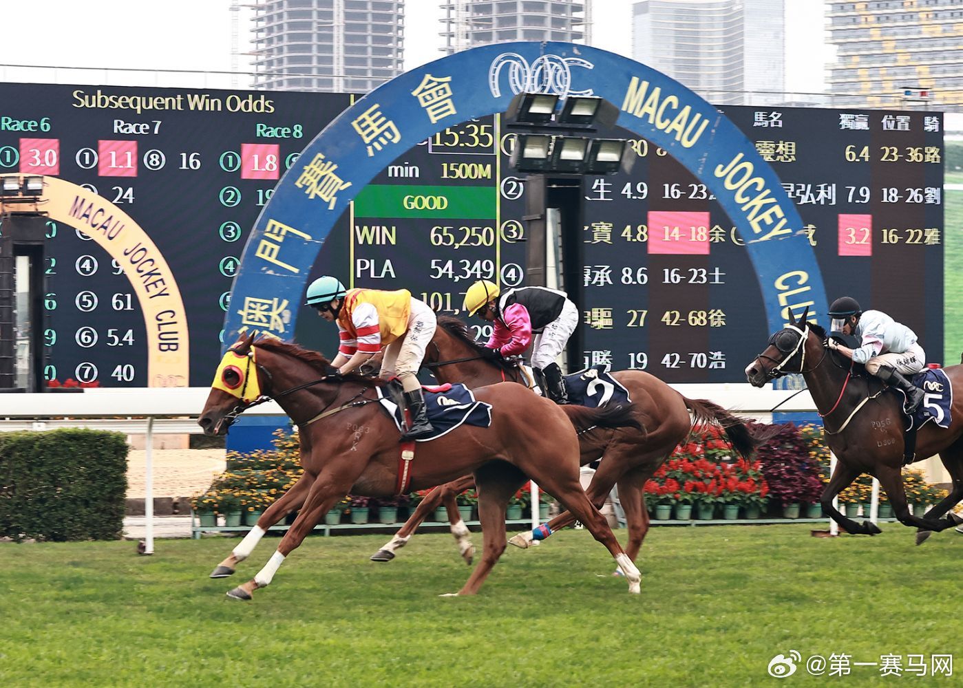 香港内部马料免费资料使用方法详解