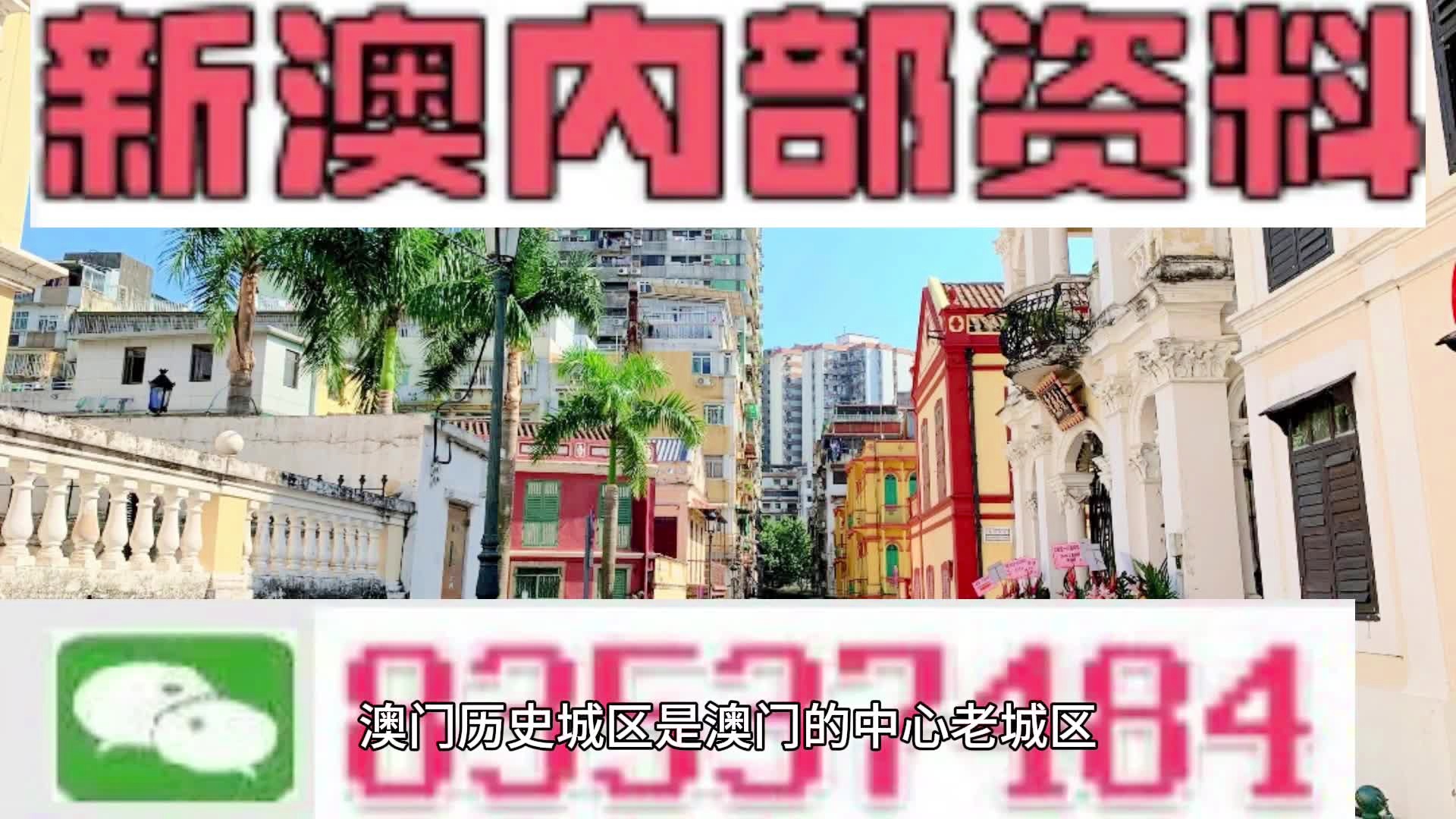 新澳门免费资料大全在线查看，警惕背后的风险与挑战