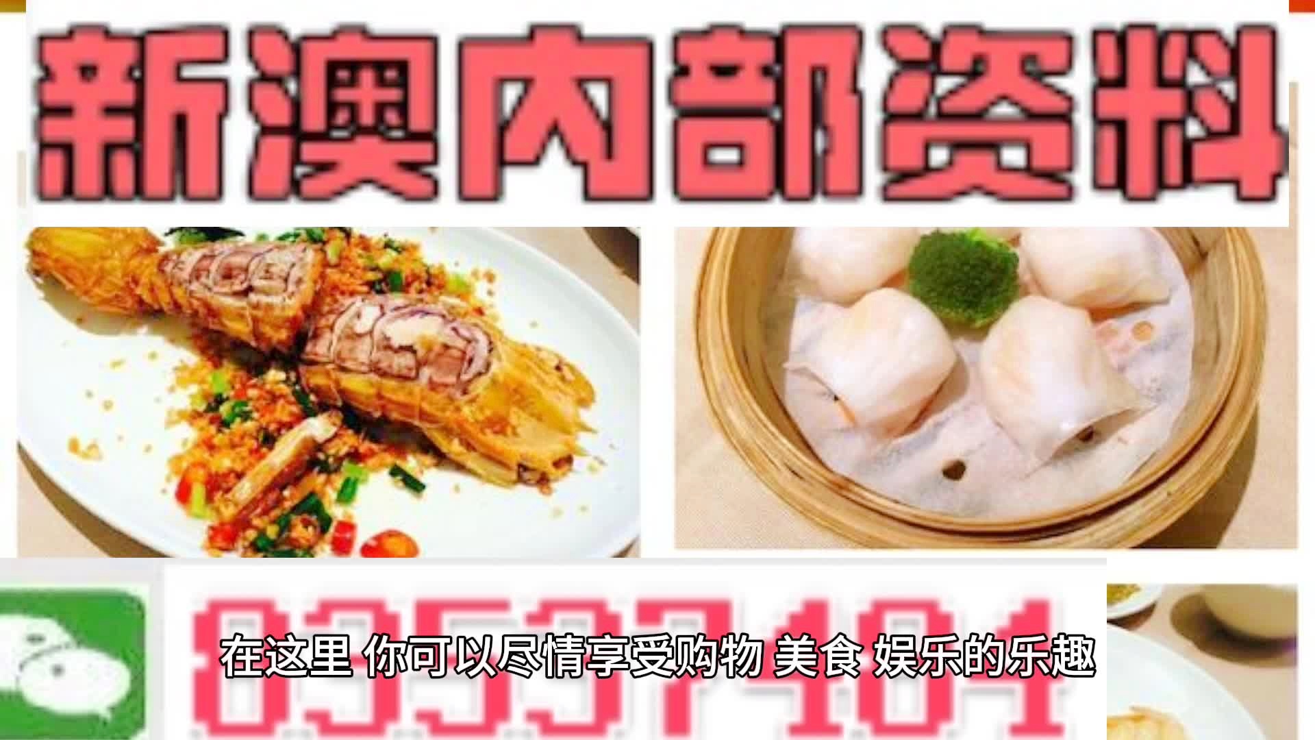 2024新澳精准资料大全概览