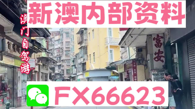 新澳精准资料免费提供，探索第208期的奥秘与价值