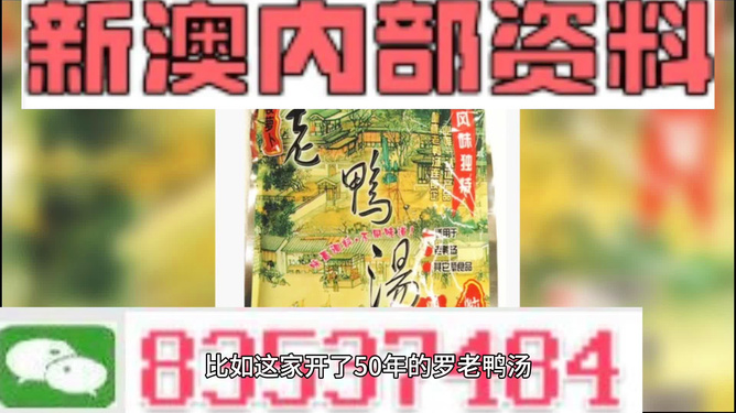 新澳正版资料免费提供，探索与启示