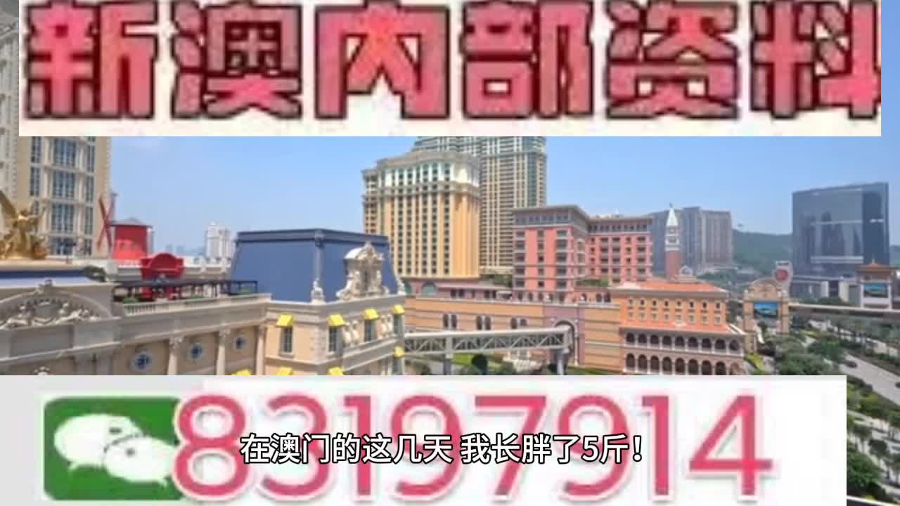 探索澳门彩票世界，今晚的开奖号码展望（2024年）