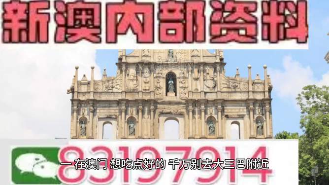 澳门新资料大全正版资料的重要性及其影响（2023年分析）