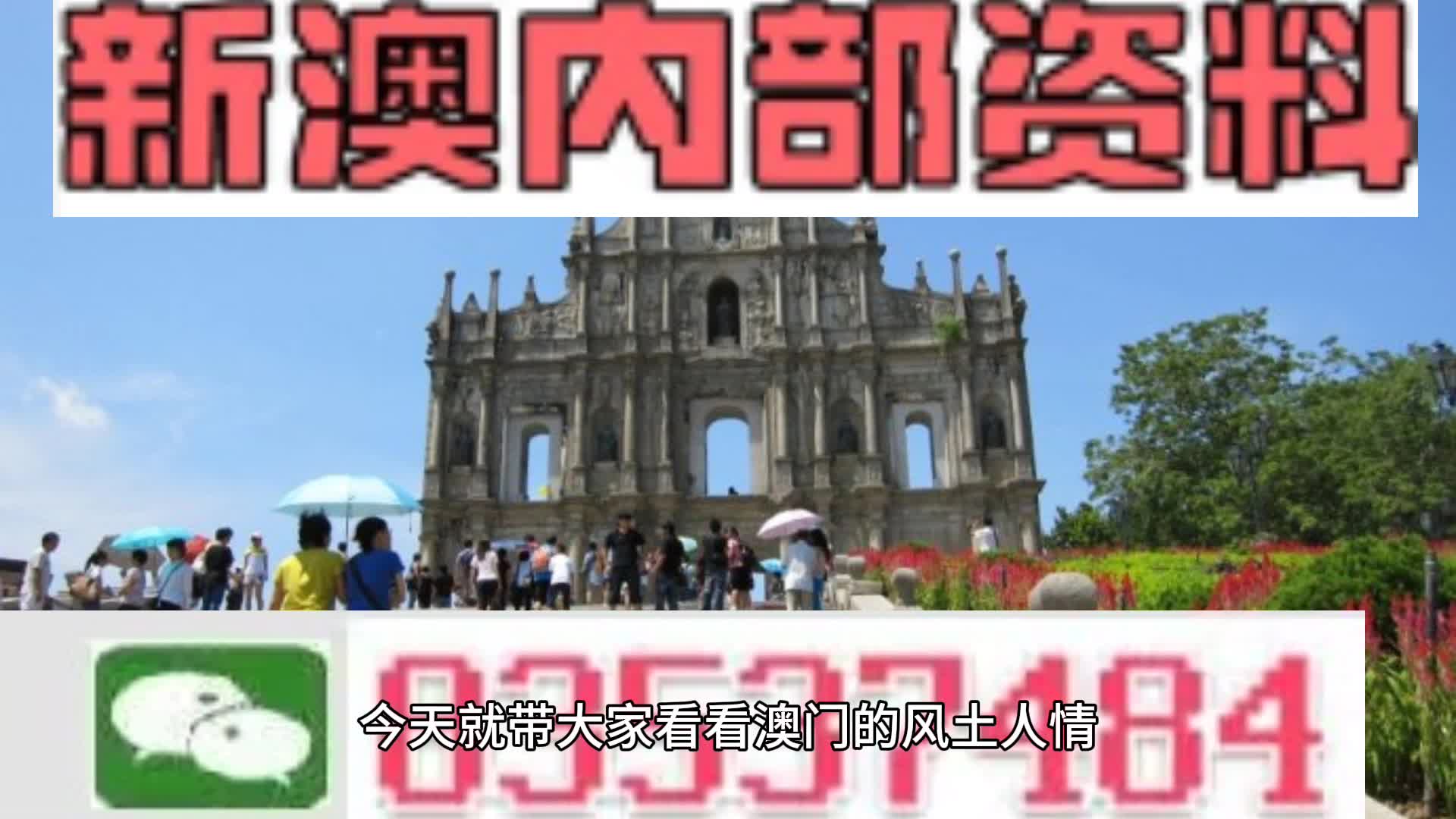 2024新澳最精准资料大全详解