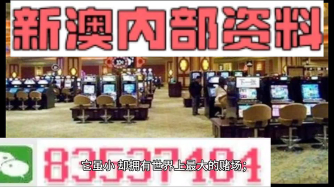 澳门正版精准免费大全，探索与解析