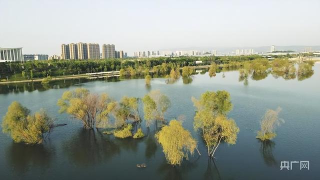 浐灞生态区最新消息，迈向绿色发展的前沿阵地