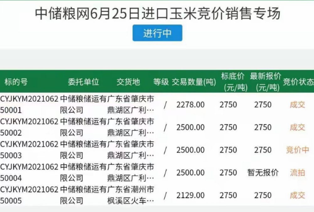 小麦最新价格信息及其影响分析