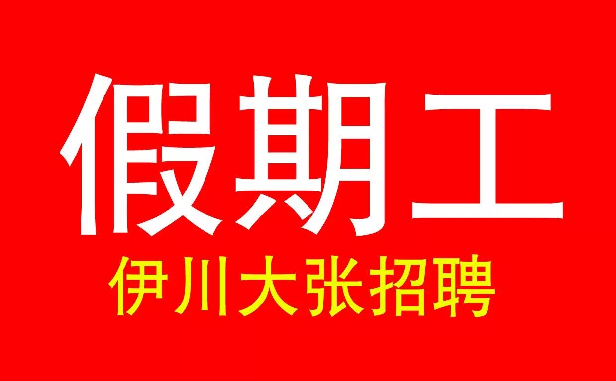 伊川招聘网最新招聘动态，把握职业机遇，共创美好未来