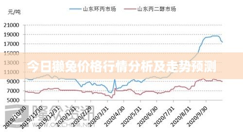 獭兔最新行情分析