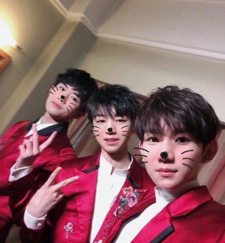 TFboys最新消息，成长、挑战与未来的无限可能