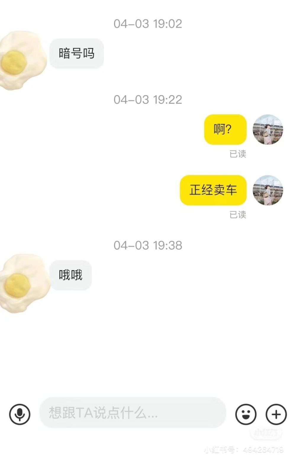 闲鱼最新暗号，探索二手交易的新世界