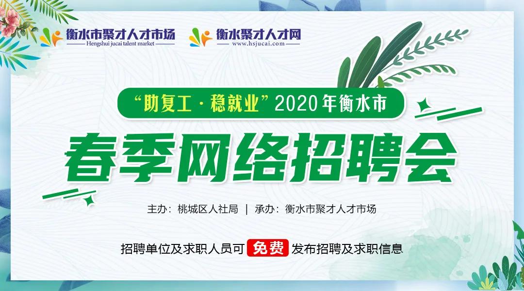 衡水招聘信息网最新招聘动态深度解析